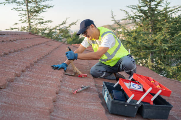 Best Shingle Roofing Installation  in Hamilton City, CA